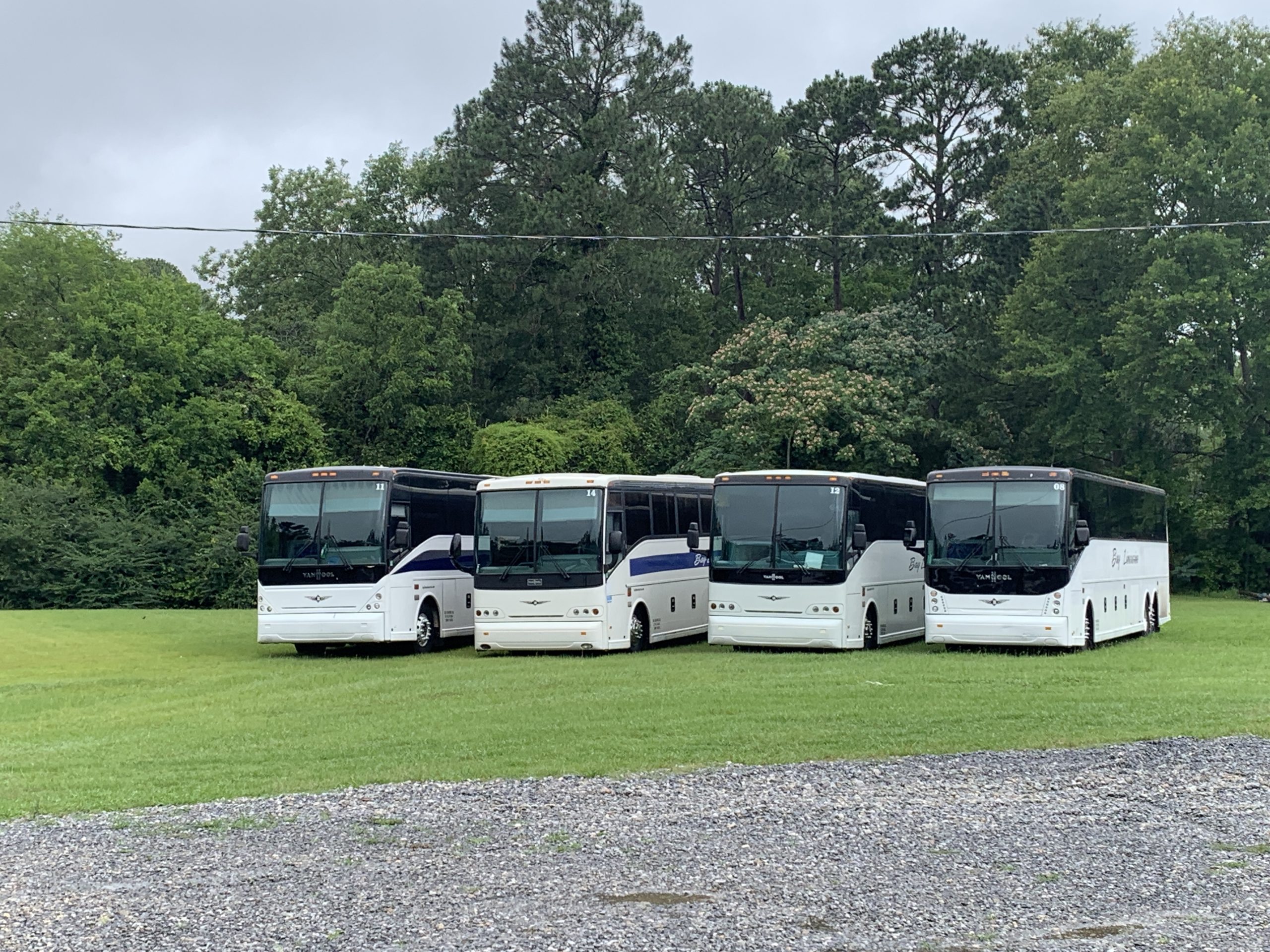charter buses